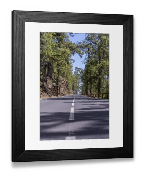 Framed Print : Uphill road in the woods on the way up to Teide Natural Park in Tenerife Framed Print : Uphill road in the woods on the way up to Teide Natural Park in Tenerife