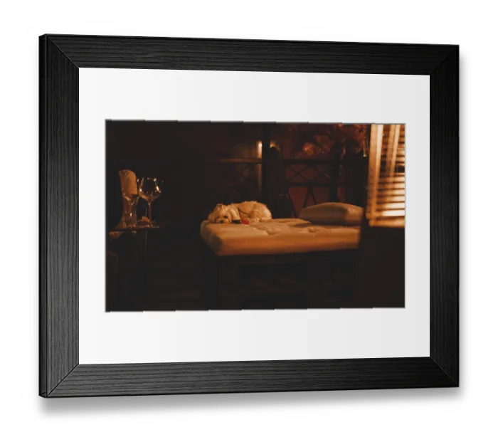 Framed Print : Image of a Maltese lapdog in a night bar with a fiery heater in the background Framed Print : Image of a Maltese lapdog in a night bar with a fiery heater in the background