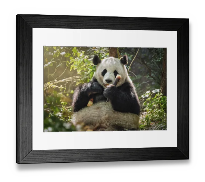 Framed Print : Chinese tourist symbol and attraction Framed Print : Chinese tourist symbol and attraction