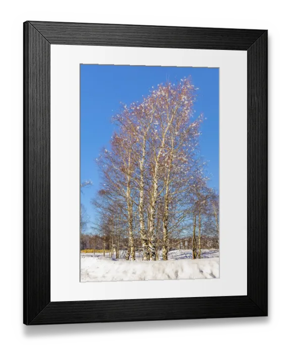 Framed Print : Bright winter frosty day in Lapland
