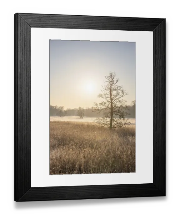 Framed Print : Winter landscape in frost at sunrise