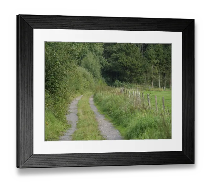 Framed Print : A small forest path lined with trees and tall grass in a rural area Framed Print : A small forest path lined with trees and tall grass in a rural area