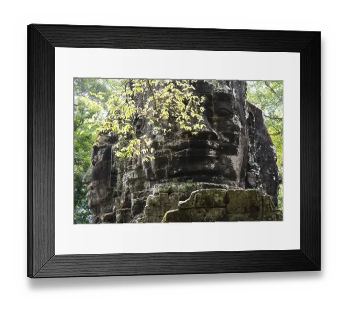 Framed Print : Buddhist gatekeepers, mystical Framed Print : Buddhist gatekeepers, mystical