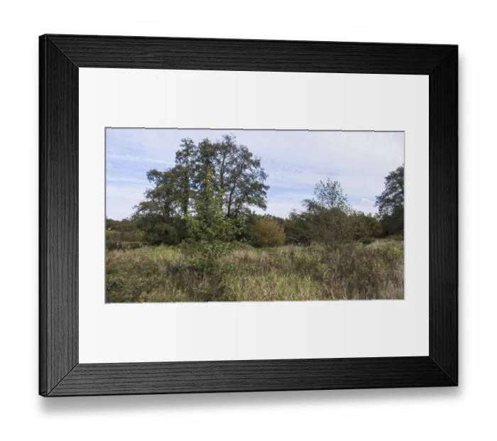 Framed Print : Forest meadow and bird sanctuary at the beginning of autumn OLDENBURG Lower Saxony (alnus) Framed Print : Forest meadow and bird sanctuary at the beginning of autumn OLDENBURG Lower Saxony (alnus)