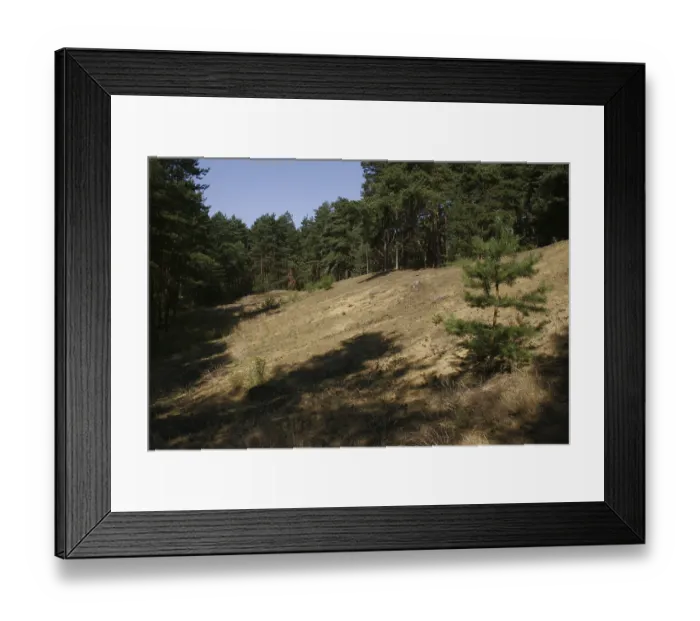 Framed Print : Inland dune