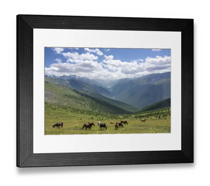 Framed Print : The nature in Altai Mountains Framed Print : The nature in Altai Mountains