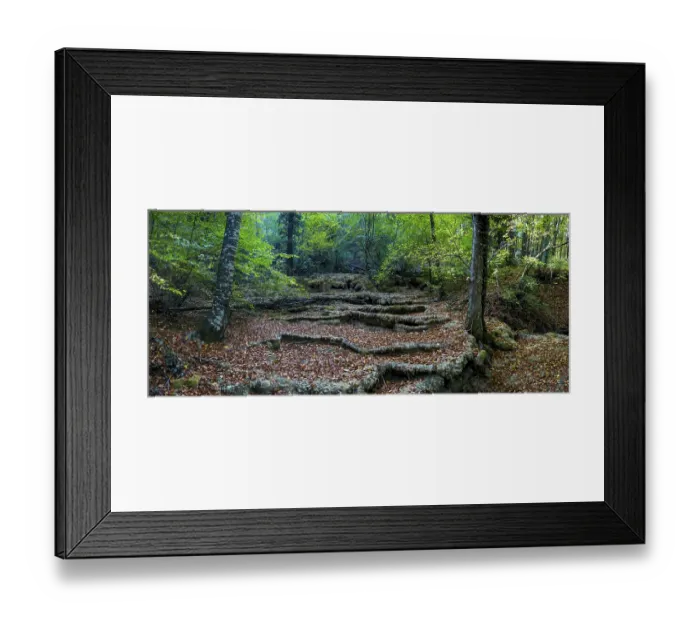 Framed Print : Autumn forest in the mountains of Crimea