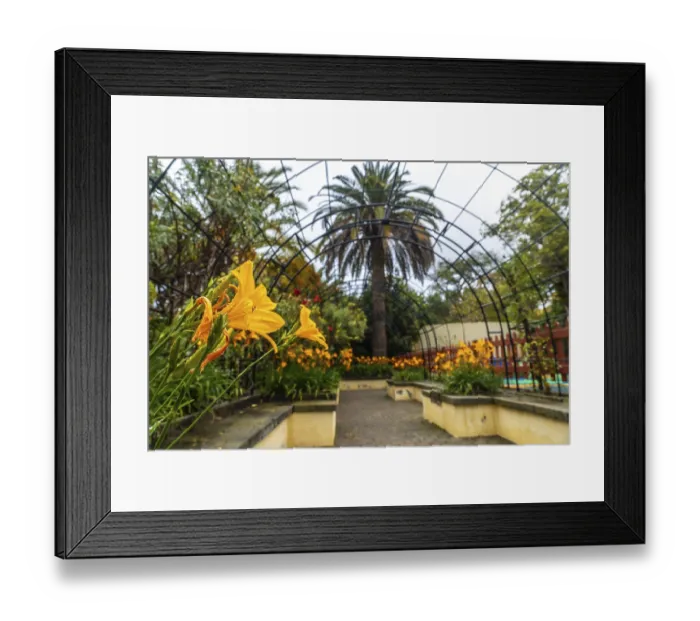 Framed Print : Beautiful path in a botanical garden