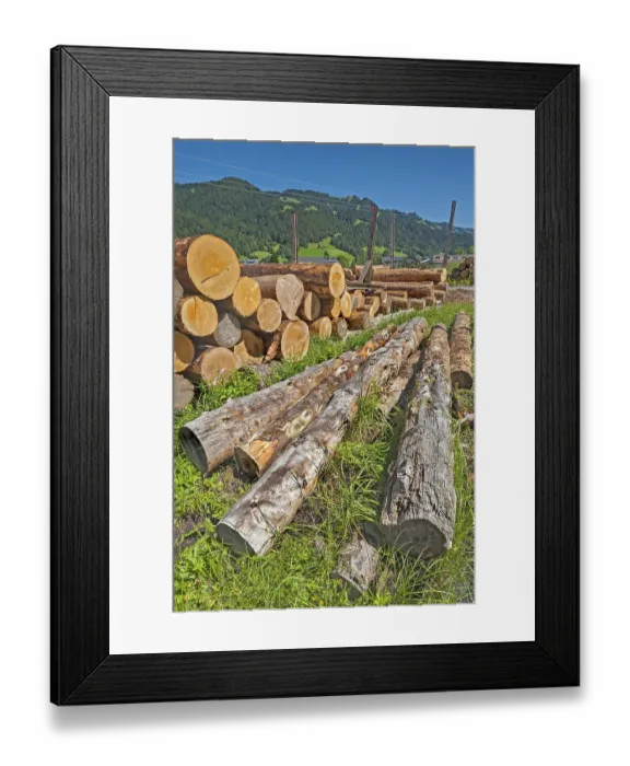 Framed Print : Stacked tree trunks in a green meadow Framed Print : Stacked tree trunks in a green meadow