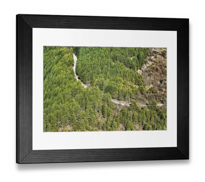 Framed Print : Road in the Coniferous Forest, Shumen Framed Print : Road in the Coniferous Forest, Shumen