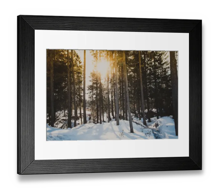Framed Print : Sun in winter forest shines between the trees