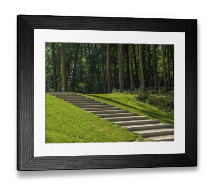 Framed Print : A staircase leads through a green Framed Print : A staircase leads through a green