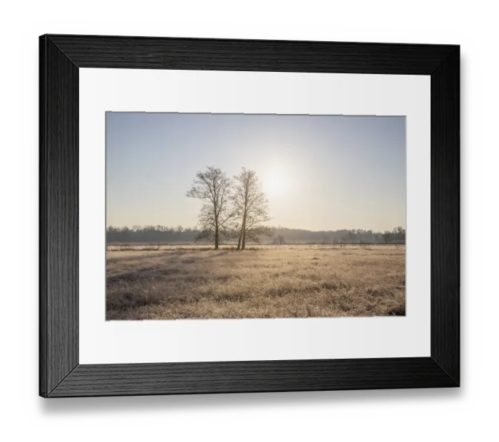 Framed Print : Winter landscape in frost at sunrise
