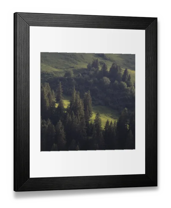 Framed Print : Bright green mountain meadow and pine forest