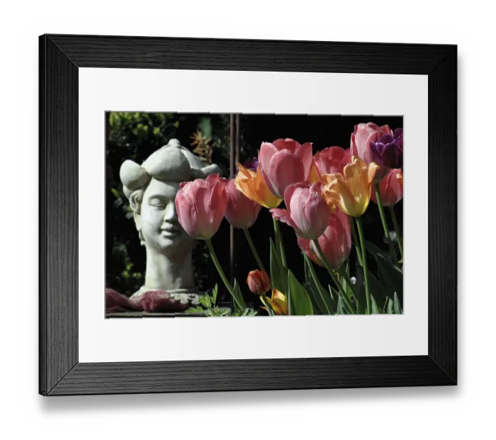 Framed Print : Stone Buddha next to blooming colourful tulips in a garden