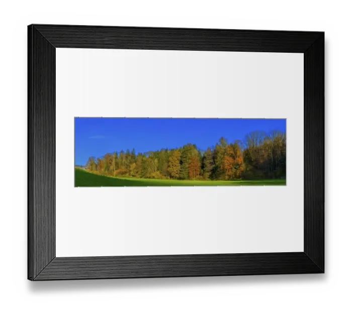 Framed Print : Autumn forest, Leimbach, Thurgau