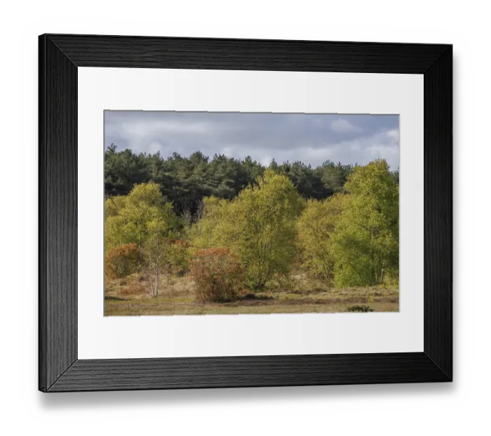 Framed Print : A path that leads through an autumnal landscape of fields and woods