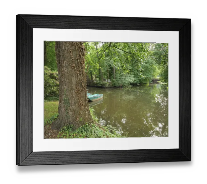 Framed Print : A green boat lies next to a tree by a quiet pond