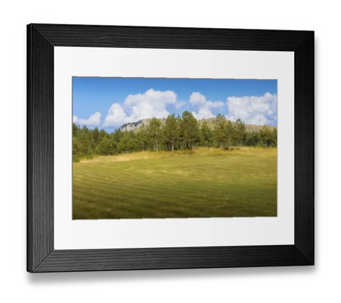 Framed Print : Durmitor mountains and tree landscape