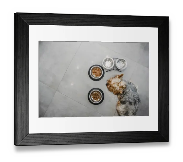 Framed Print : A dog lying beside dry food bowls on a tiled floor