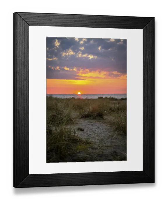 Framed Print : Sandy beach beach with dune grass Framed Print : Sandy beach beach with dune grass