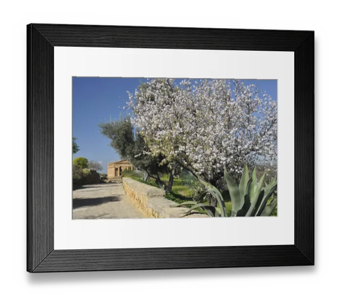 Framed Print : Agrigento is world famous for its Valley of the Temples Framed Print : Agrigento is world famous for its Valley of the Temples