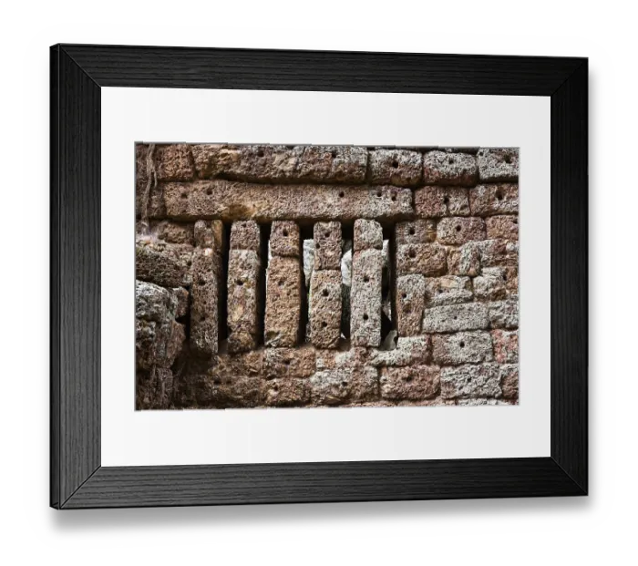Framed Print : Picturesque temple wall, jungle temple