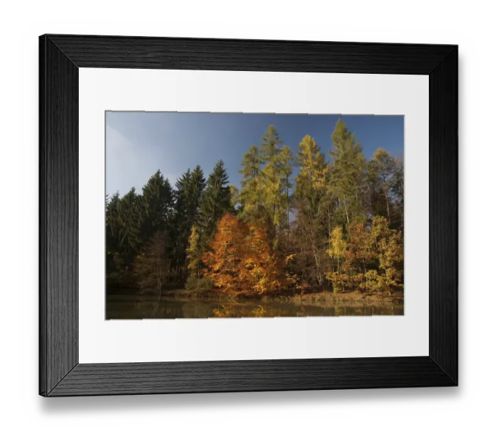 Framed Print : Autumn in the Steigerwald nature park Park