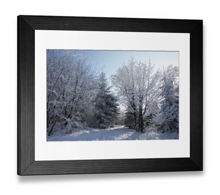 Framed Print : A lovely sunny Christmas Day. Snow-covered glade in winter forest Framed Print : A lovely sunny Christmas Day. Snow-covered glade in winter forest