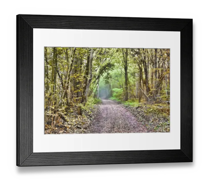 Framed Print : The road leads to the misty deciduous forest and the penetrating rays of the sun Framed Print : The road leads to the misty deciduous forest and the penetrating rays of the sun