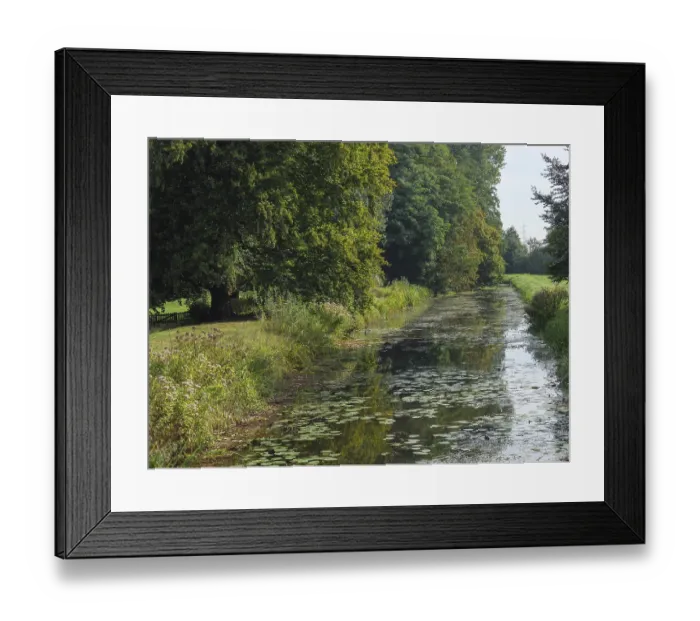 Framed Print : A calm river with water lilies Framed Print : A calm river with water lilies