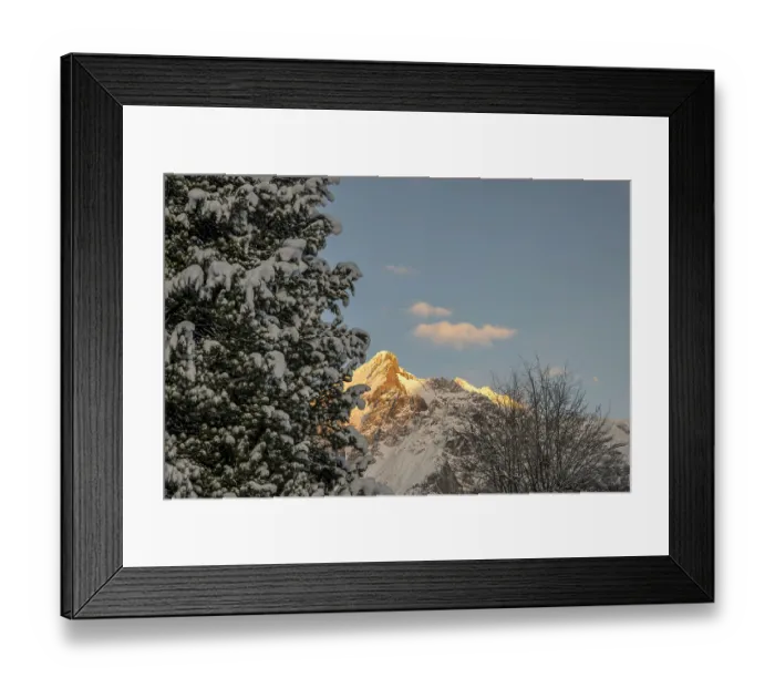 Framed Print : Tree and Snowcapped Mountain Peak in the Swiss Alps in a Winter Day in Grindelwald