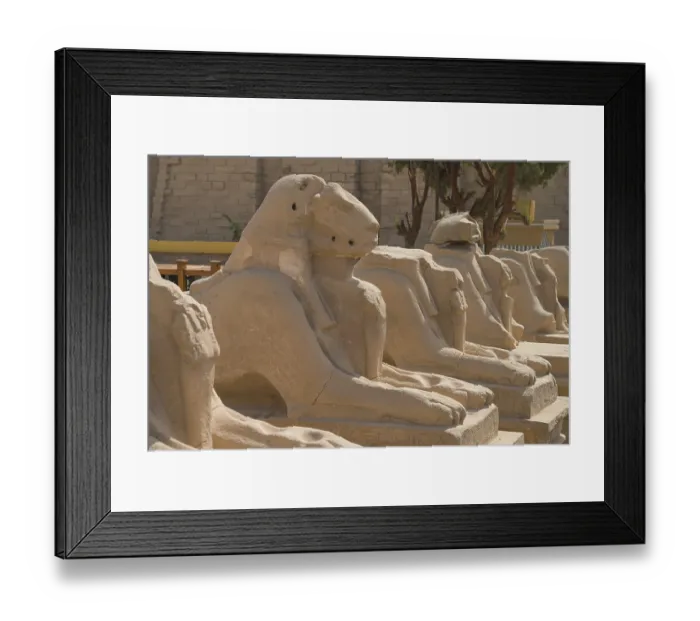 Framed Print : Phinx alley, ram-headed sphinxes in front of the 1st pylon Framed Print : Phinx alley, ram-headed sphinxes in front of the 1st pylon