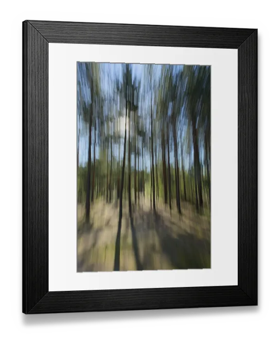 Framed Print : Intentional camera movement (ICM) image of a dream like background of trees in forest created by motion blur