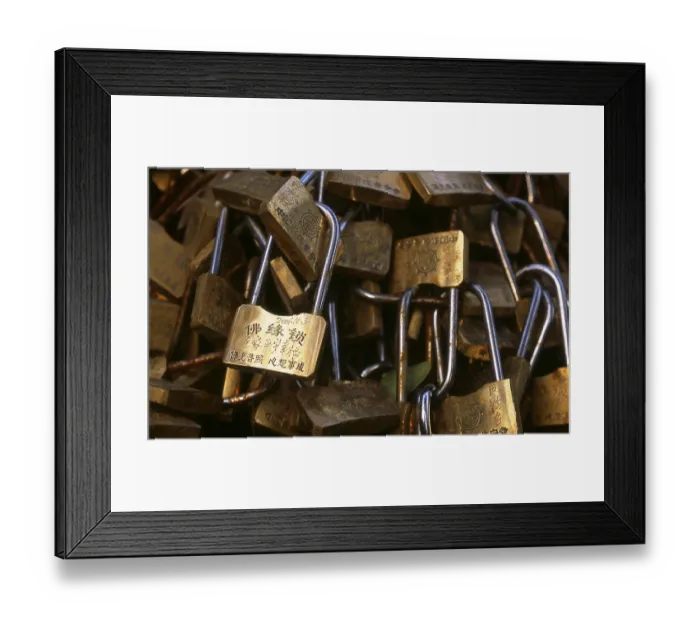 Framed Print : The Puning Temple (Chinese: 普宁寺)