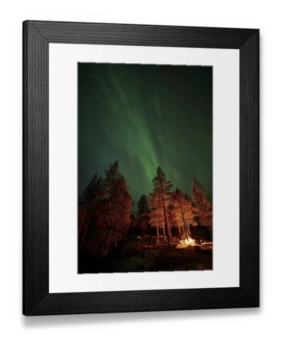Framed Print : Northern Lights (Aurora borealis) over trees