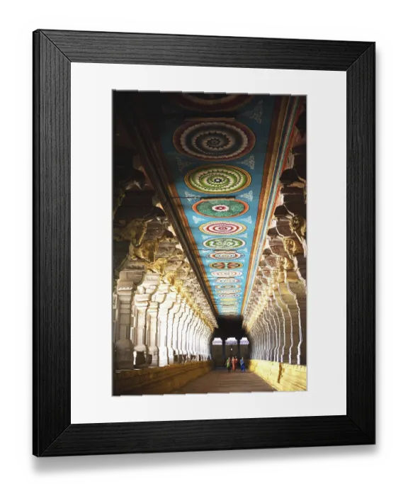Framed Print : Mini, train, tracks, jungle, Color