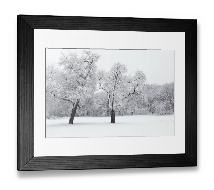 Framed Print : Winter landscape in snowy forest Framed Print : Winter landscape in snowy forest