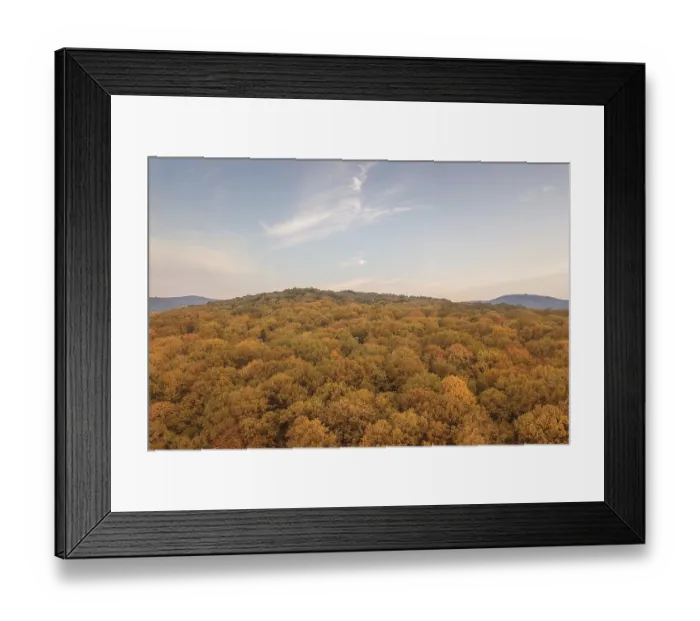 Framed Print : Autumn forest colorful trees and leafs aerial view Framed Print : Autumn forest colorful trees and leafs aerial view