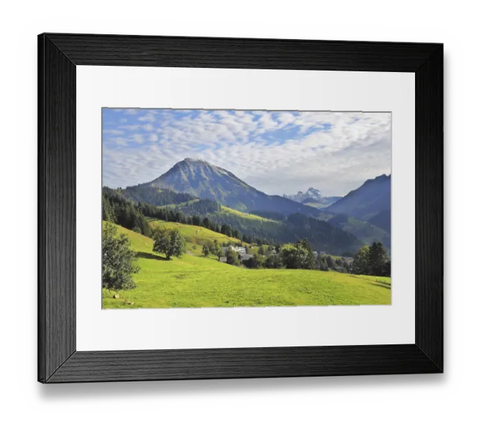 Framed Print : Swiss Alps. Green alpine meadow on a hillside and surrounded by pine forests
