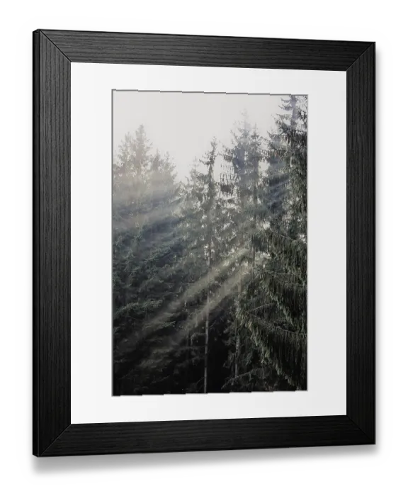 Framed Print : Morning sun