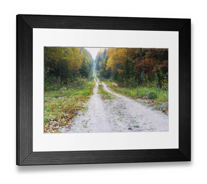 Framed Print : Yellowed and reddened leaves of trees Framed Print : Yellowed and reddened leaves of trees