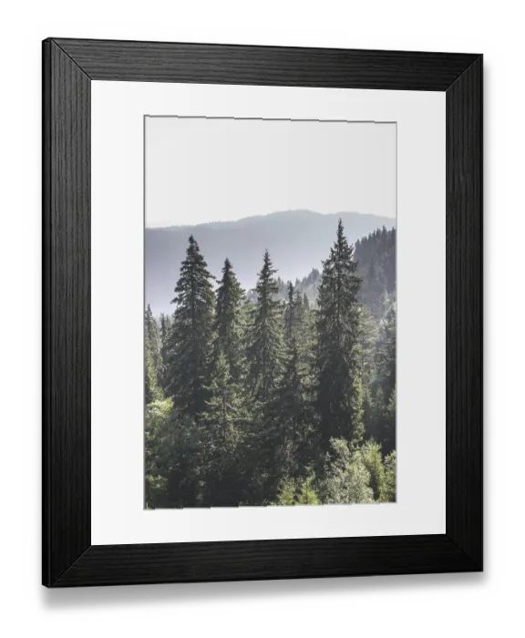 Framed Print : Green fir forest landscape
