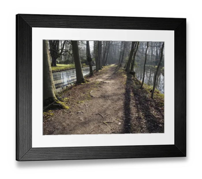Framed Print : A quiet forest path between tall trees Framed Print : A quiet forest path between tall trees