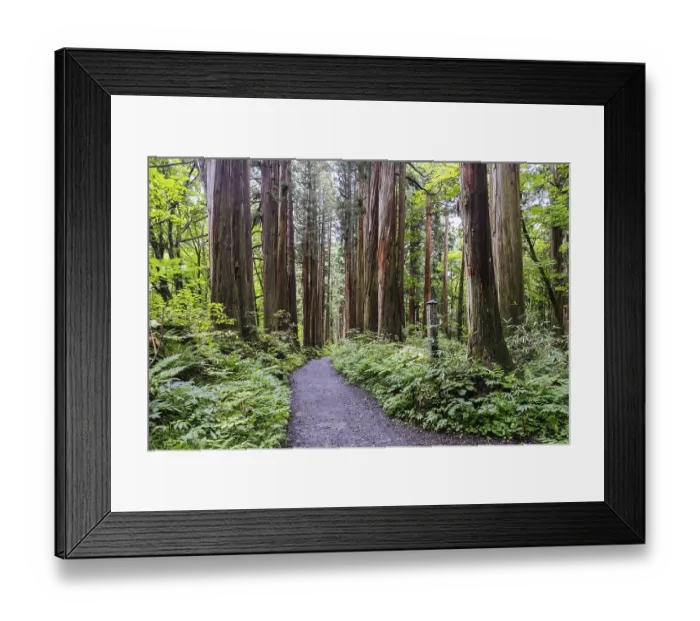 Framed Print : TOGAKUSHI, JAPAN - SEPTEMBER 19 Framed Print : TOGAKUSHI, JAPAN - SEPTEMBER 19