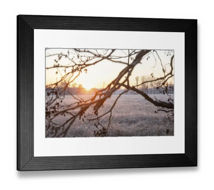 Framed Print : Winter landscape in frost at sunrise Framed Print : Winter landscape in frost at sunrise
