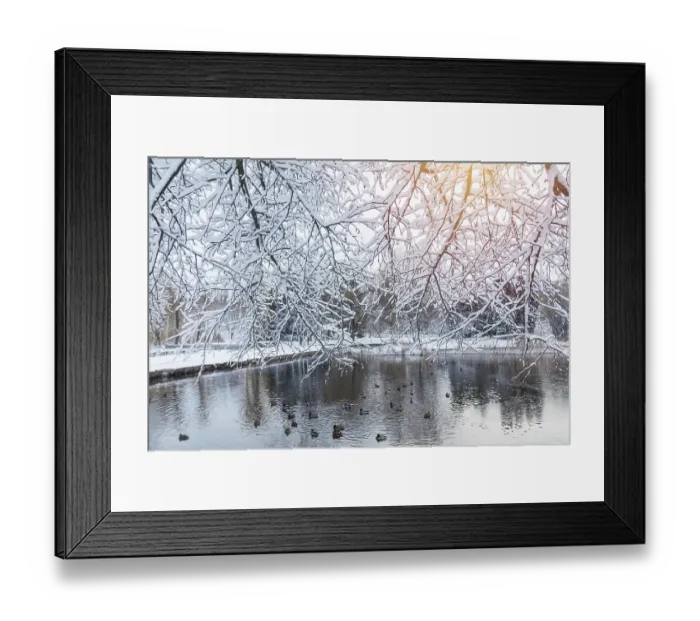 Framed Print : First snow in the city park with ducks on an icy pond and a bench covered with snow Framed Print : First snow in the city park with ducks on an icy pond and a bench covered with snow