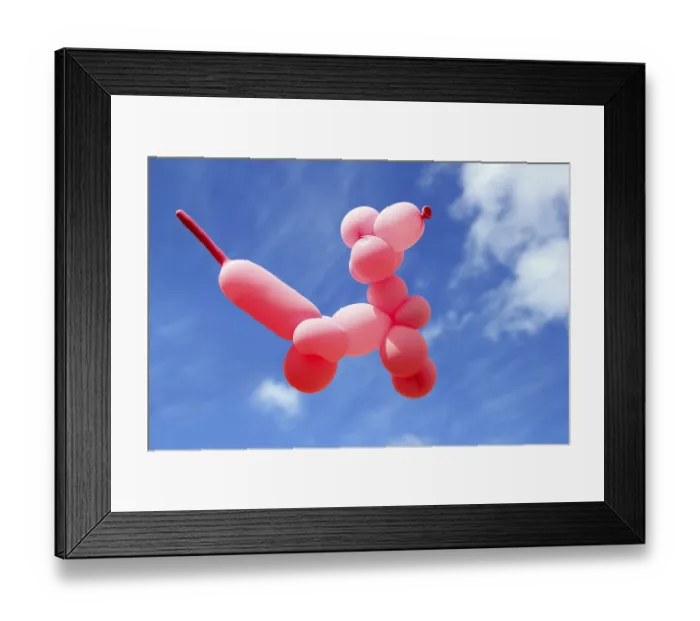 Framed Print : Balloon with poodle dog caniche shape flying in blue sky sunny day