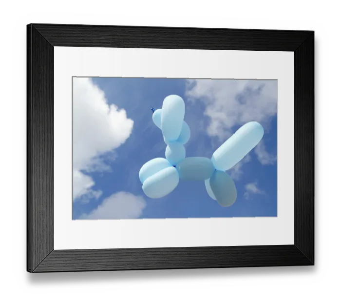 Framed Print : Ballon with poodle dog caniche shape flying in blue sky sunny day