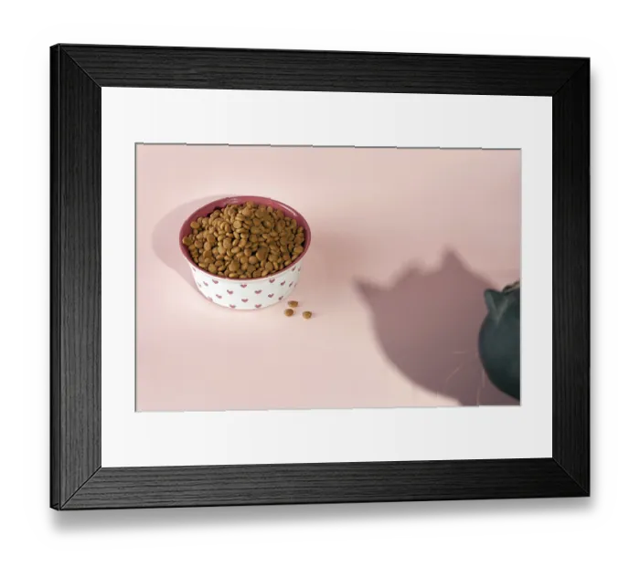 Framed Print : A bowl of cat food and a shadow of a cat on a pink background Framed Print : A bowl of cat food and a shadow of a cat on a pink background